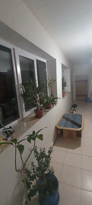 Casă de vânzare Ceica Nr.358  - imagine 2