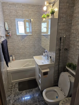 3 cam transformat din 2 cam parter inalt amenajat zona Dambovita - imagine 5