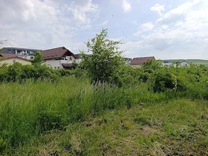 Teren intravilan Piatra Neamț 