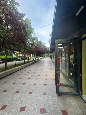 Vanzare Afacere la Chei Langa Tribunalul Bucuresti - imagine 6