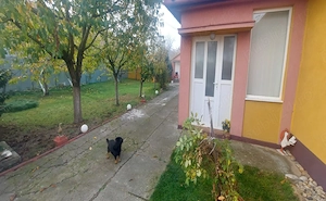  Casa individuala 4 camere si garaj in Pischia amenajata mobilata utilata pozitie excelenta - imagine 19