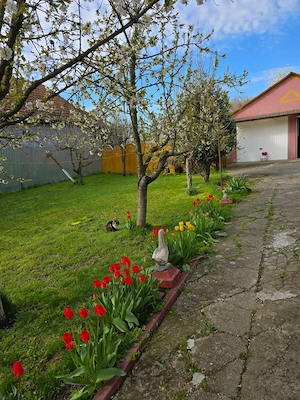  Casa individuala 4 camere si garaj in Pischia amenajata mobilata utilata pozitie excelenta - imagine 2