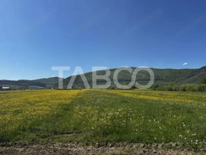 Teren de vanzare cu suprafata de 3000 mp in Poplaca