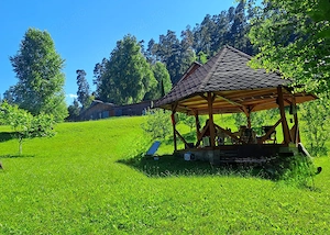 Teren intravilan in Sacele (Brasov), 2000 mp cu livada, foișor, apa, curent - imagine 3