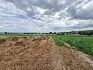 Teren intravilan 2700 mp, deschidere 123 ml, zona Hemeiusi - imagine 4