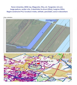Teren, 8950 mp, langa padure, Intravilan, Magurele, Ilfov, strada Tangentei, cartierul Seismologilor - imagine 8