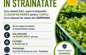 Este nevoie urgent de cupluri la salata 