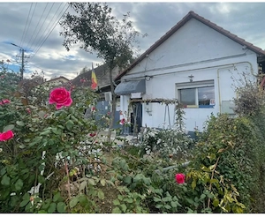 AV693 Casa individuala de vanzare 4 camere, Resita-Calnic