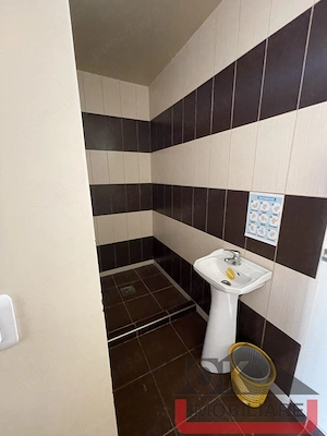 Casa 5 camere zona Sannicolau Mic - imagine 9