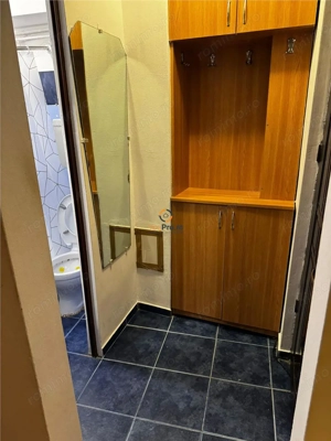 Garsoniera cu Baie si Bucatarie din Constructie   Zona Sagului   Etaj 2 - imagine 8