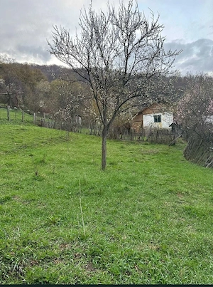 Teren + casă bătrânească la munte judet Vâlcea - imagine 4