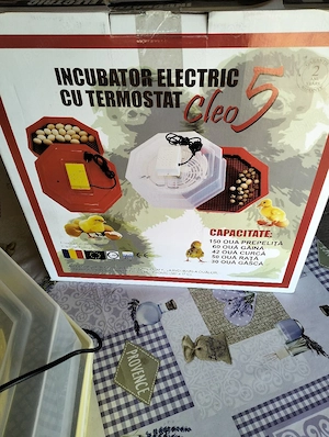 Incubator electric cu termostat - imagine 3