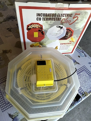Incubator electric cu termostat