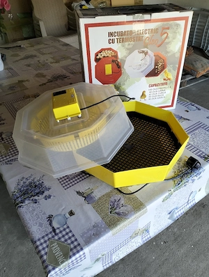 Incubator electric cu termostat - imagine 4