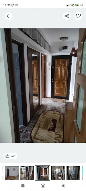 Apartament 1 camera cu balcon, pet-friendly, in Alexandru - imagine 4