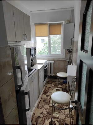 Apartament 1 camera cu balcon, pet-friendly, in Alexandru - imagine 5