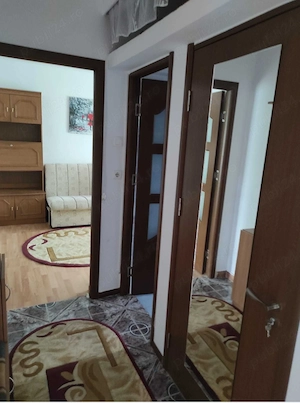 Apartament 1 camera cu balcon, pet-friendly, in Alexandru - imagine 3