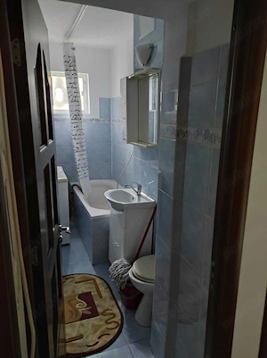 Apartament 1 camera cu balcon, pet-friendly, in Alexandru - imagine 6