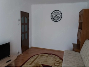 Apartament 1 camera cu balcon, pet-friendly, in Alexandru - imagine 2