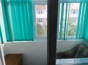 Apartament 1 camera cu balcon, pet-friendly, in Alexandru - imagine 7
