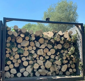 lemne de foc