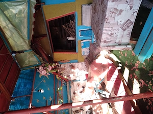 Casa de vacanta izvorul rece balta Mara cabana vanatorului - imagine 6