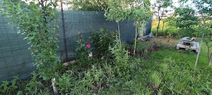 De vânzare teren in Cartierul Florilor la granița cu sectorul 5 - imagine 8