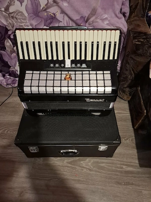 acordeon parrot