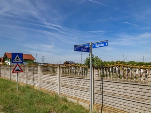 Teren cu utilitati, pe strada asfaltata, 1.448 mp, Cerneteaz | Comision 0 - imagine 8