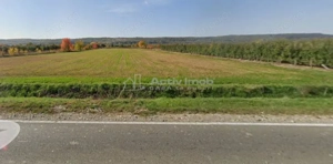Teren intravilan 13060 mp | Deschidere 64 m la DN72A Voinesti - imagine 3