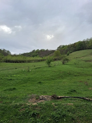 Casă noua de vânzare in Veseud, nr. 65 jud. Sibiu,cu panoramă superbă asupra satului - imagine 6