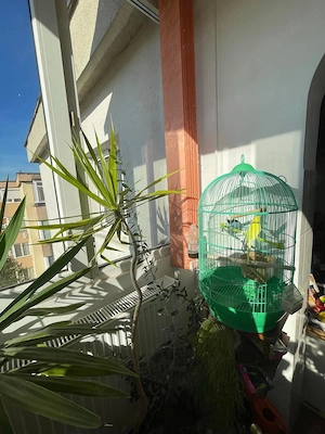 Apartament de vanzare - imagine 6