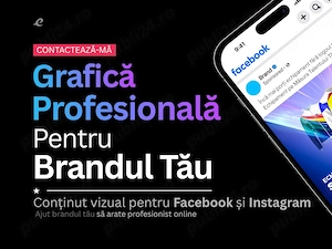 Afacerea ta prezentabila Profesional online