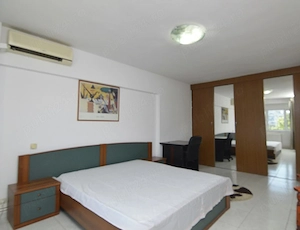 Inchiriere apartament Bd. Unirii fantani  - imagine 8