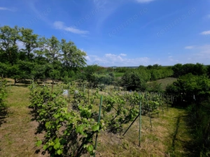 Teren intravilan 4,516mp Doina - imagine 12
