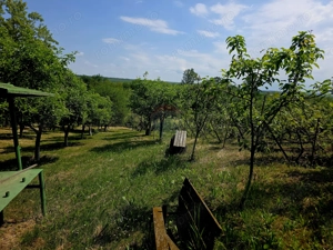 Teren intravilan 4,516mp Doina - imagine 13