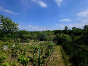 Teren intravilan 4,516mp Doina - imagine 8