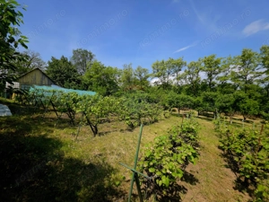 Teren intravilan 4,516mp Doina - imagine 9