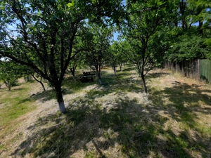 Teren intravilan 4,516mp Doina - imagine 19