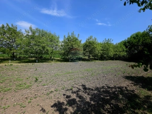 Teren intravilan 4,516mp Doina - imagine 16