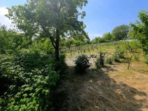 Teren intravilan 4,516mp Doina - imagine 18