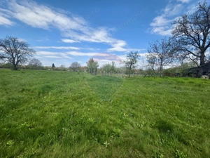 Teren intravilan 4.733 mp - Drajna de Jos, Prahova - imagine 3