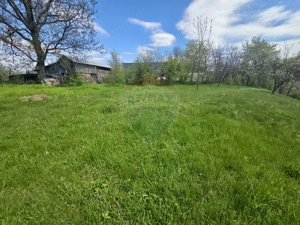 Teren intravilan 4.733 mp - Drajna de Jos, Prahova - imagine 6