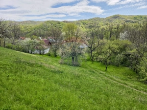 Teren intravilan 4.733 mp - Drajna de Jos, Prahova - imagine 5