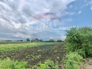COMISION 0% | Teren intravilan 3250 mp | Stupini, str. Capra Neagra | - imagine 5