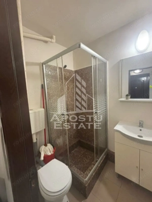 Apartament cu 1 cameră , de închiriat , Zona Aradului , Timișoara - imagine 4