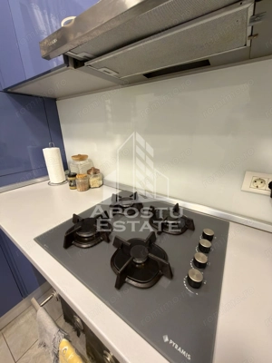 Apartament cu 3 camere decomandat la etajul 1 in Giroc langa Musicescu - imagine 19
