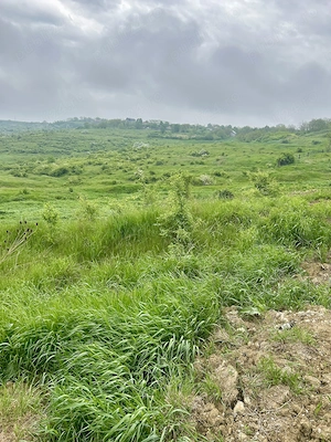 TEREN DE VIS 5100mp extravilan Aroneanu cu Vedere la Lac, 92.500  URGENT , Viitorul tău Resort - imagine 5