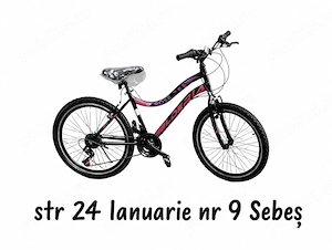 Bicicleta MTB 24''