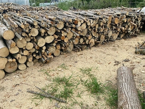 lemne de foc